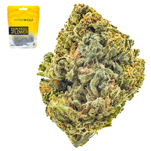 Gator Breath