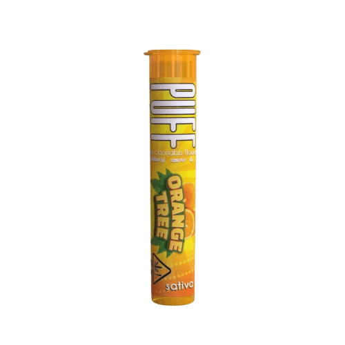 Orange Tree Pre-Roll