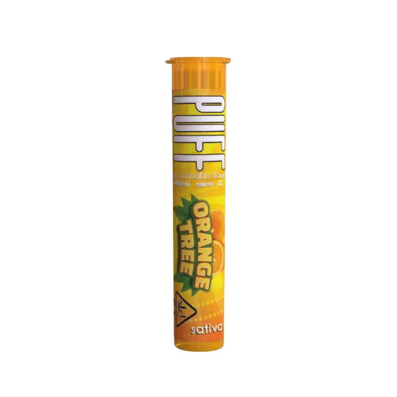 Orange Tree Pre-Roll
