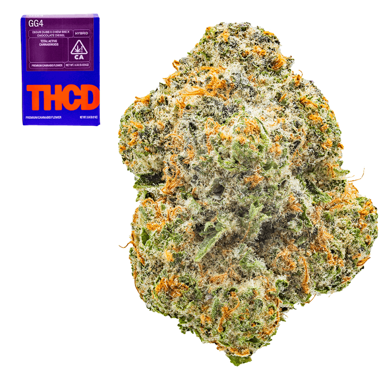 GG4
