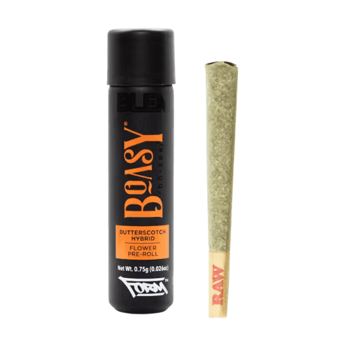 Boasy Pre-Roll