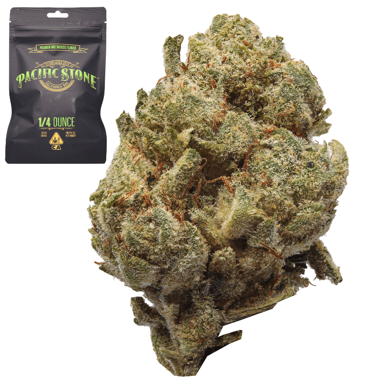 805 Glue 7g