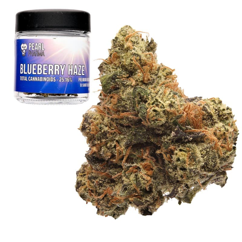 Blueberry Haze