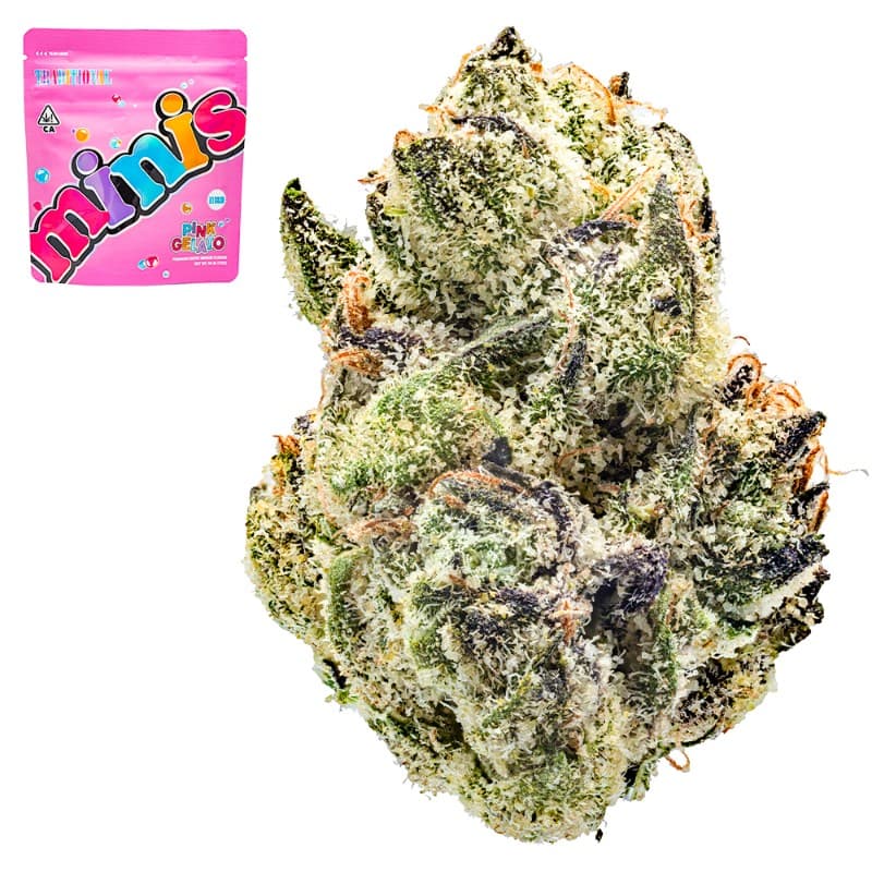 Pink Gelato Minis
