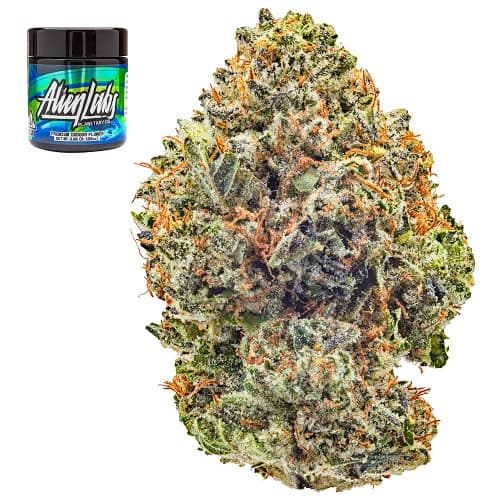 Planetary OG