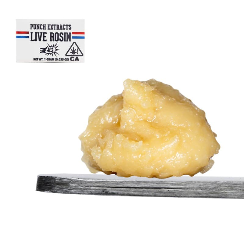 Gak Burst Live Rosin Badder (Tier 4)