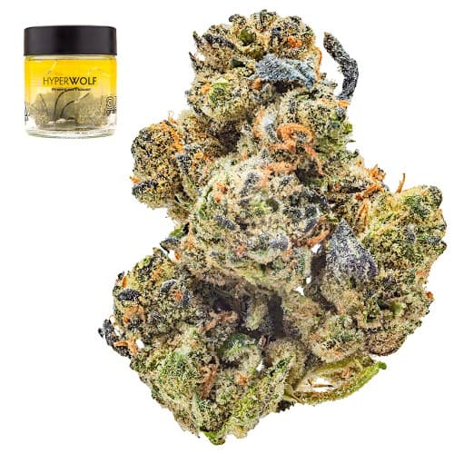 Purple Elephant