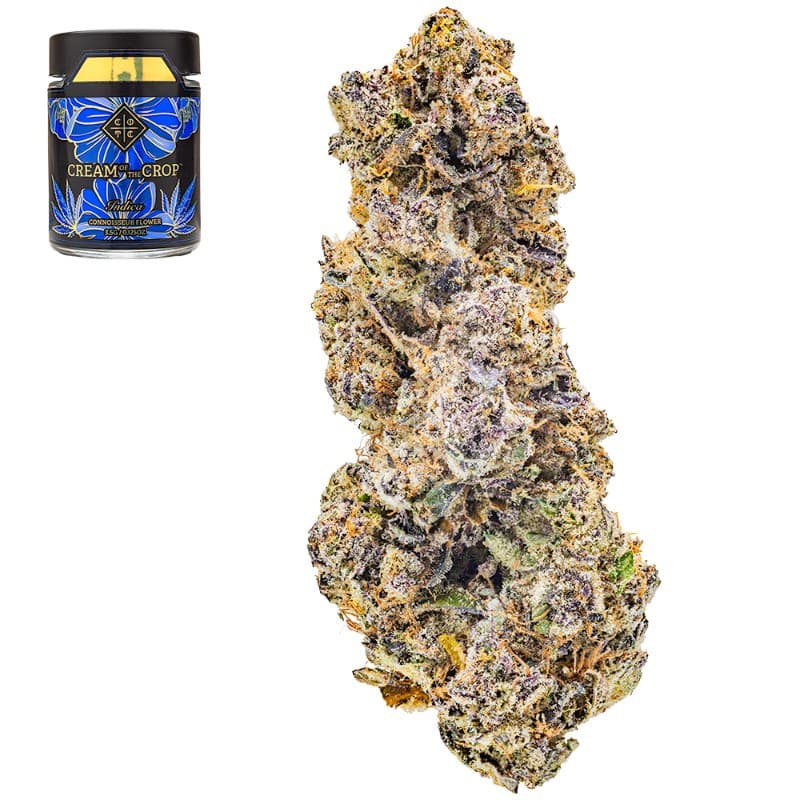 Purple Pineapple