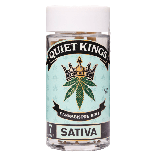 Sour Apple Fritter 14-Pack