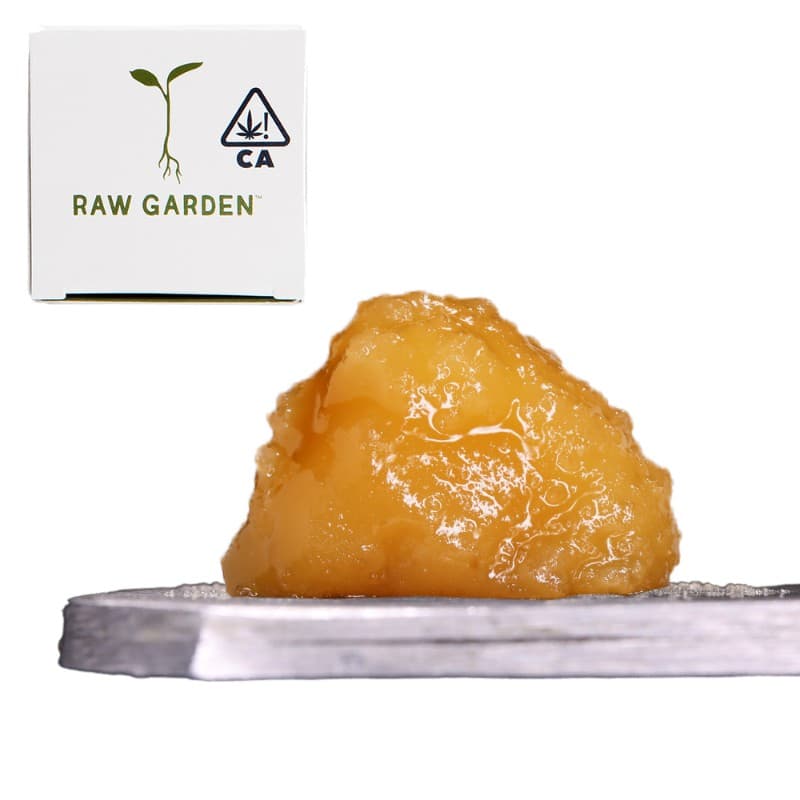 GMO Glue Live Resin