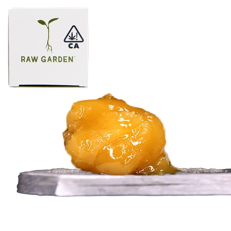 Zookie Land Live Resin