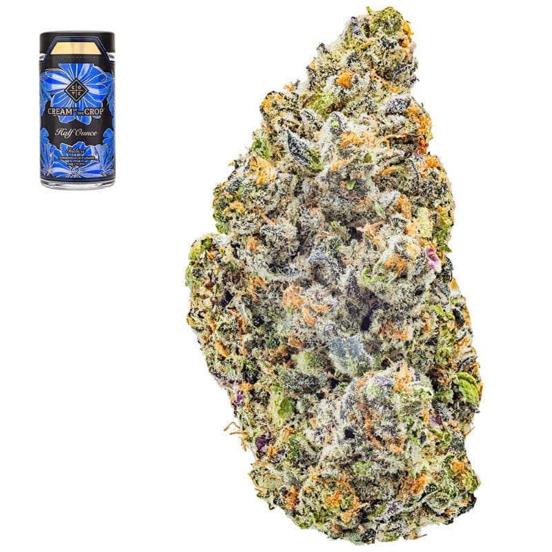 Resting Z-Face Half Ounce Smalls