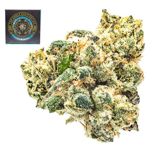 SFV OG