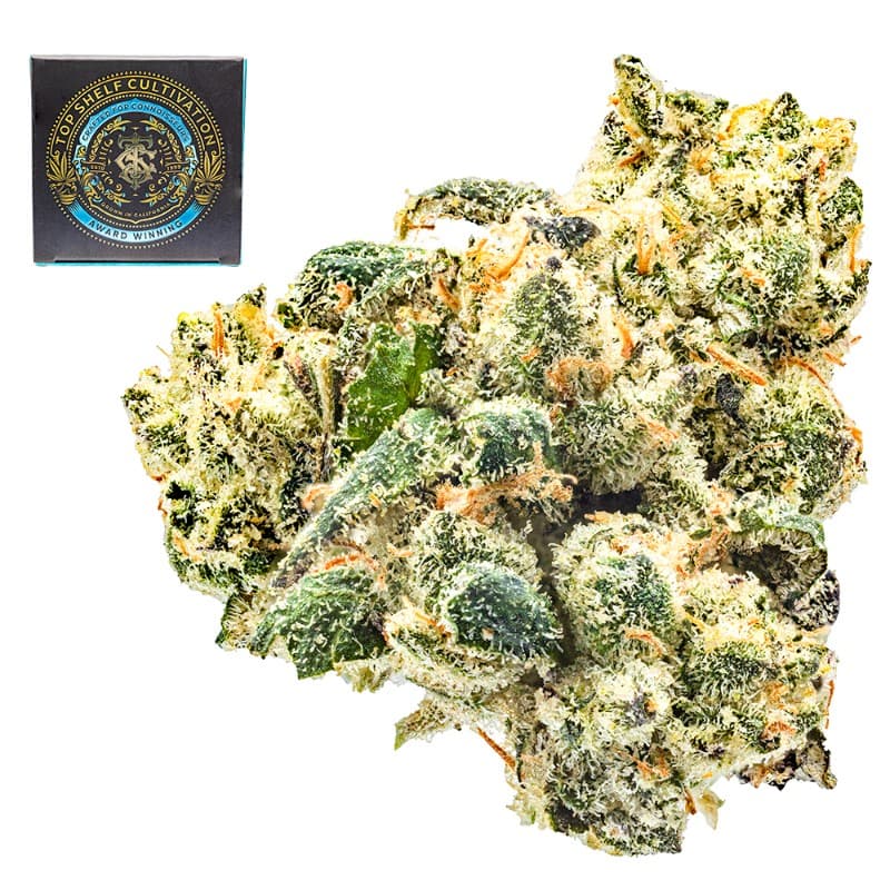 SFV OG