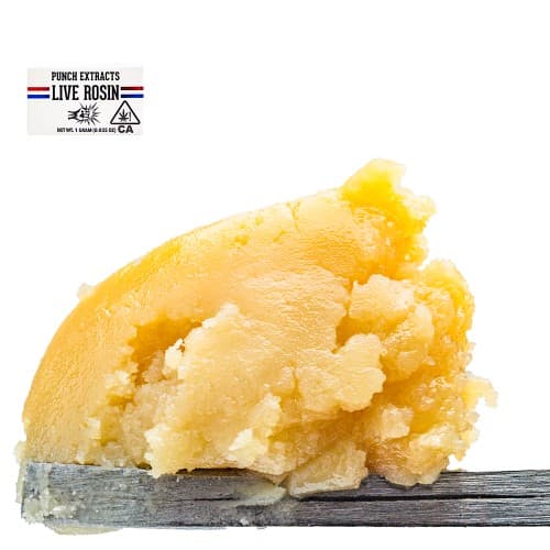 Saffron Punch Live Rosin Badder (Tier 4)