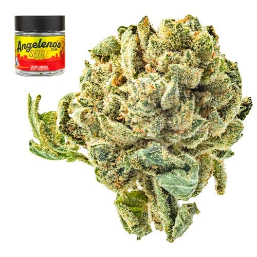 Skywalker OG