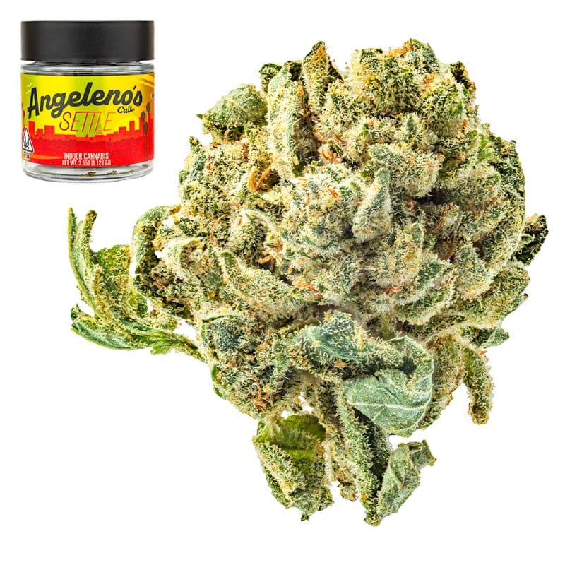 Skywalker OG Sample