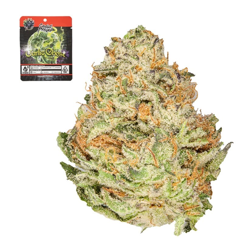 Garlic Ghost
