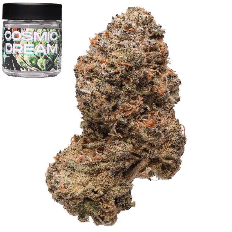Cosmic Dream