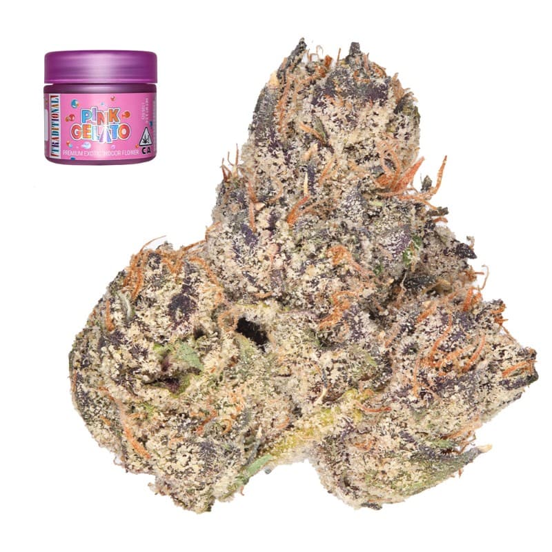 Pink Gelato