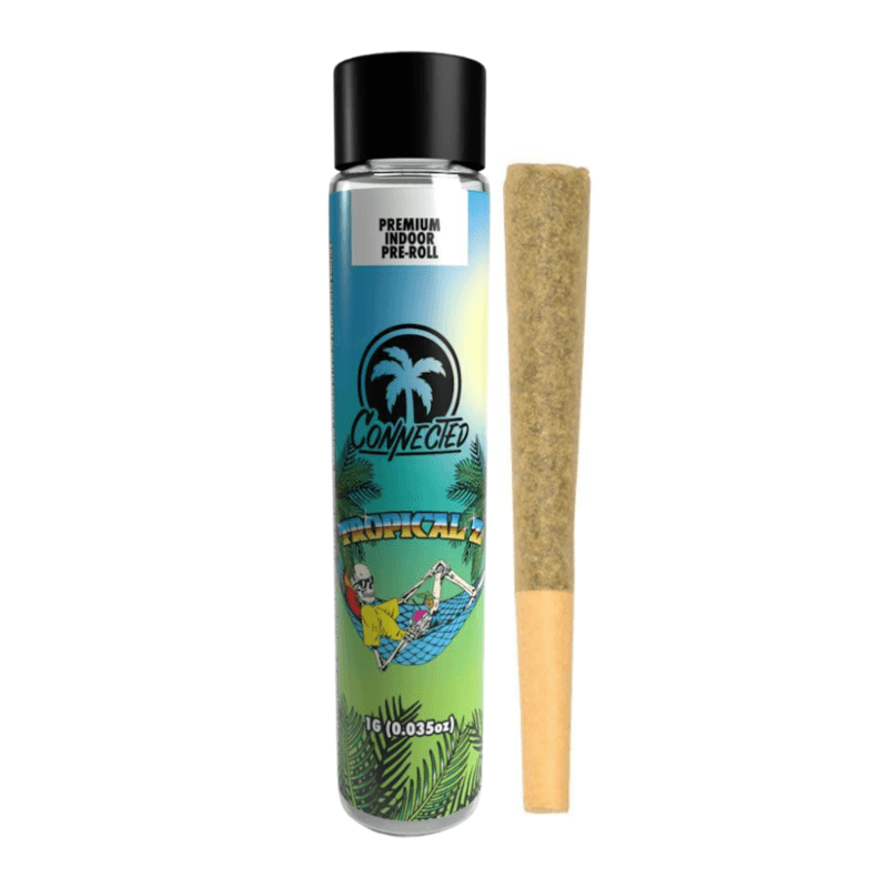 Tropical Z Pre-Roll