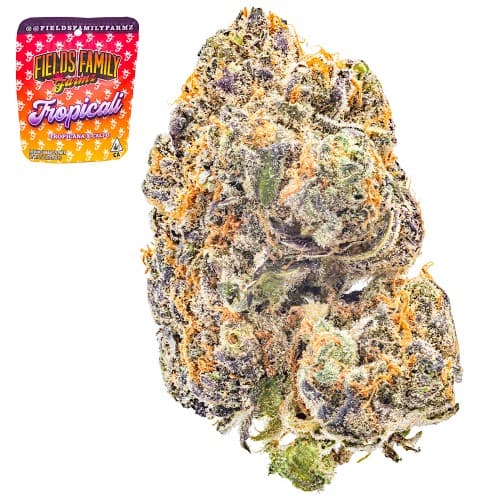 Tropicali