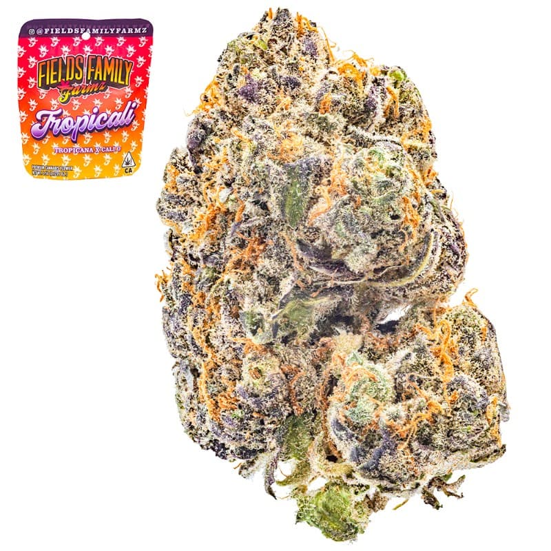 Tropicali