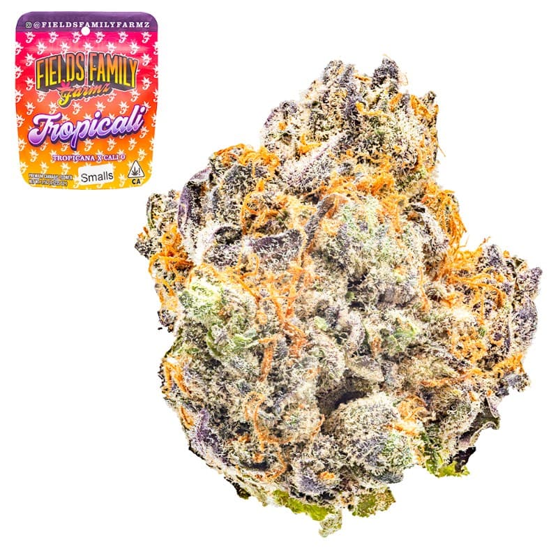Tropicali Smalls