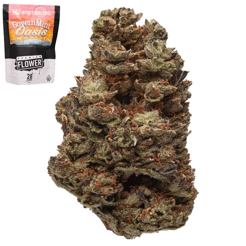 Governmint Oasis Ounce