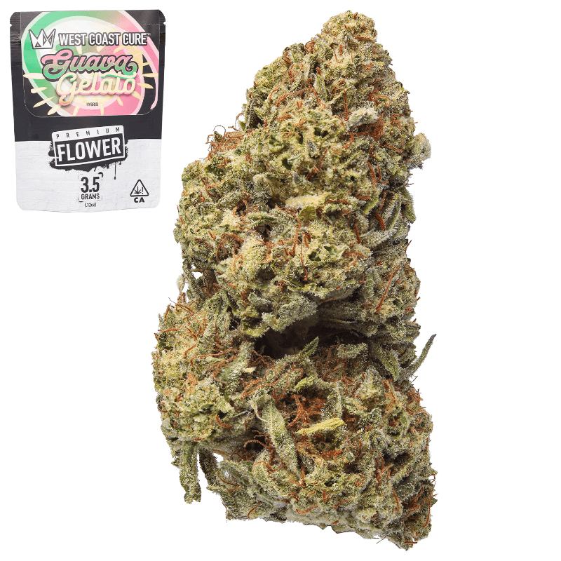Guava Gelato