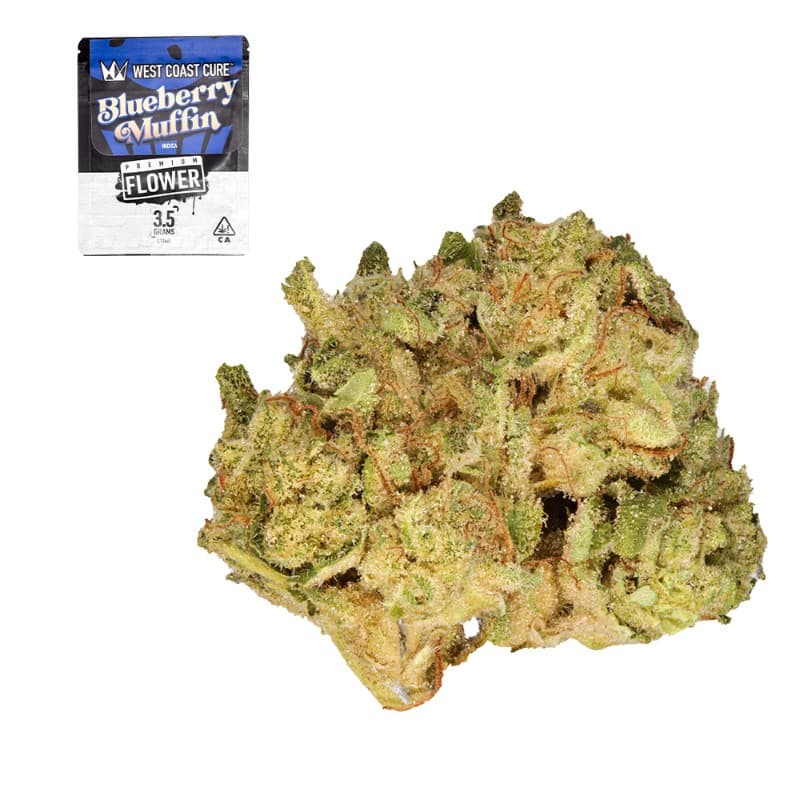 Blueberry Muffin