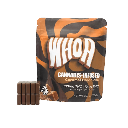 Caramel Chocolate Bite