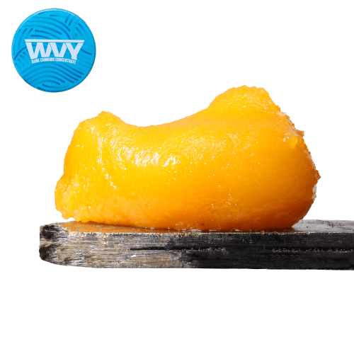 Papaya Moonbow Budder