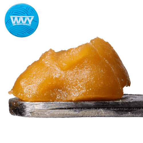 Lemon Cherry Gelato Budder