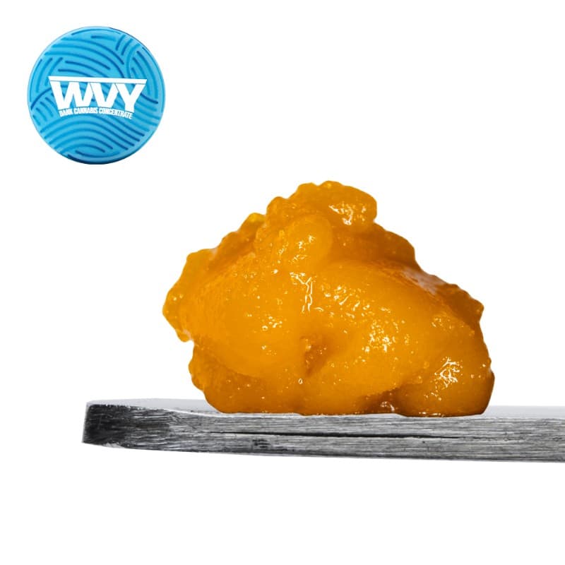Blackberry Gary Budder
