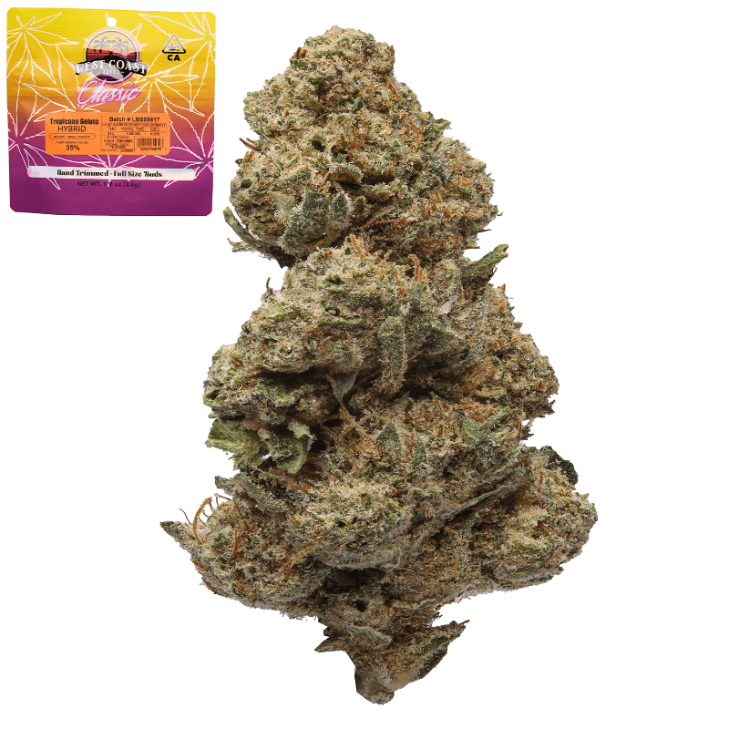 Tropicana Gelato