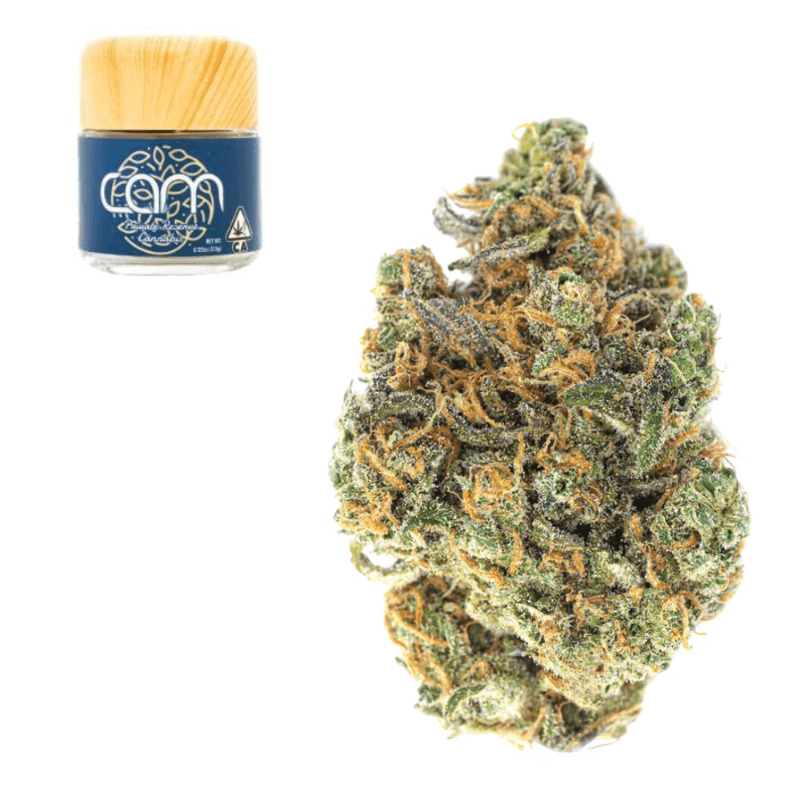 Wifi OG