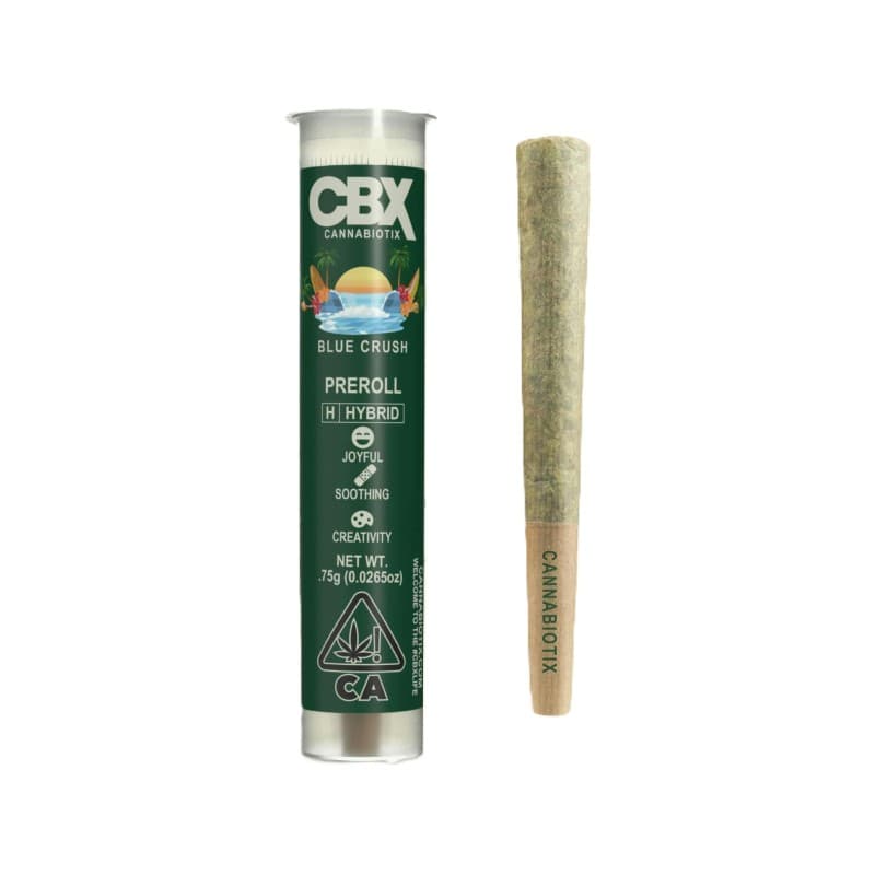 Blue Crush Pre-Roll