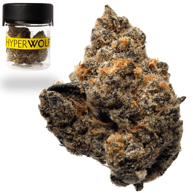 Girl Scout Cookies