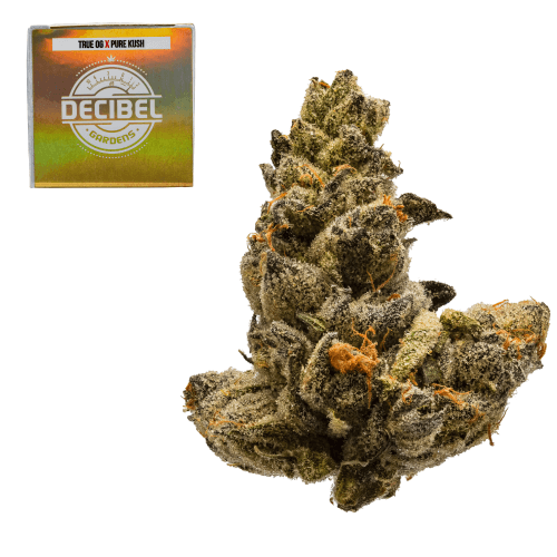 Decibel OG