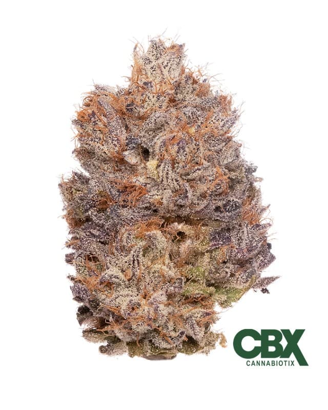 Blueberry