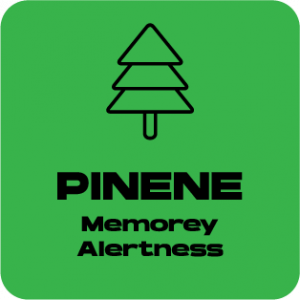 a pine tree with the words pine memory alert.