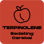 a red square with the words terpinolene seeding cerebal.