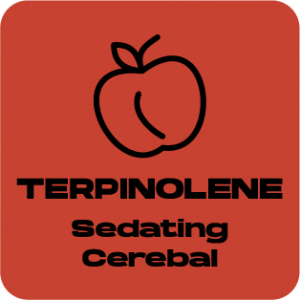 a red square with the words terpinolene seeding cerebal.