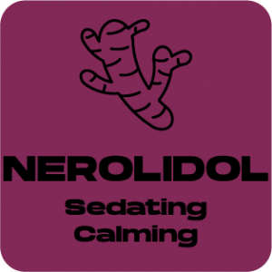 a purple square with a black outline of a carrot and the words nerollid.