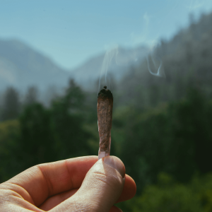 A joint burning in front of a mountain landscape