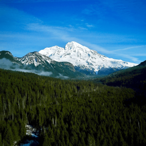 Mountain view of Mt. Rainier