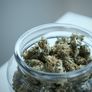 Cannabis nugs in a glass jar