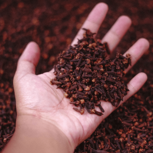 A person holding a handful of cloves