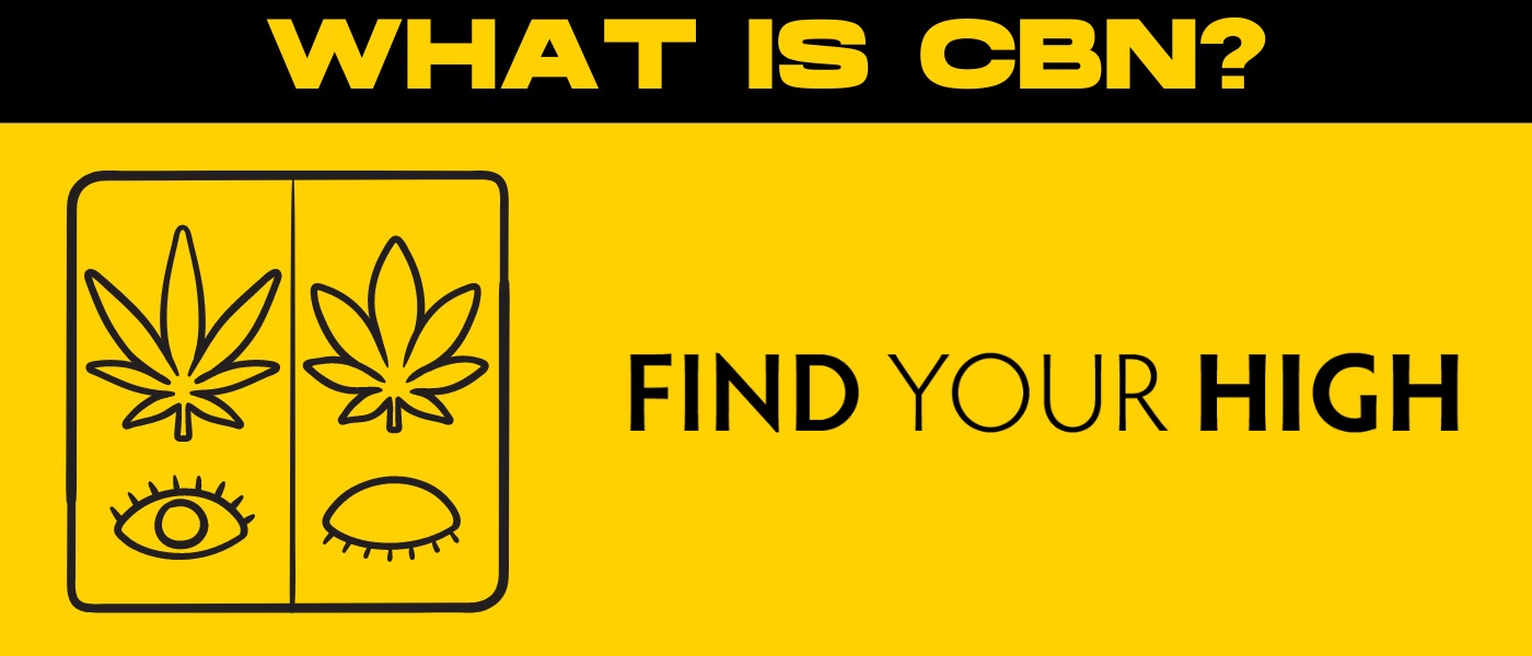 Featured Image for: What is CBN? article